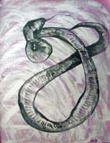 snakesilver_72